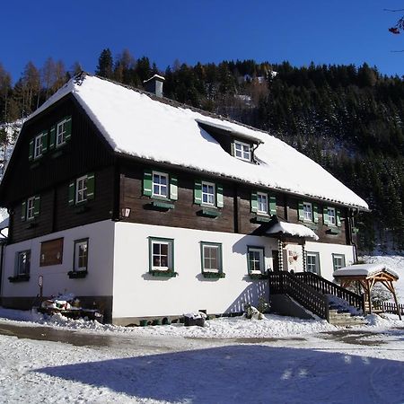 Der Perweinhof Lejlighed Donnersbachwald Eksteriør billede