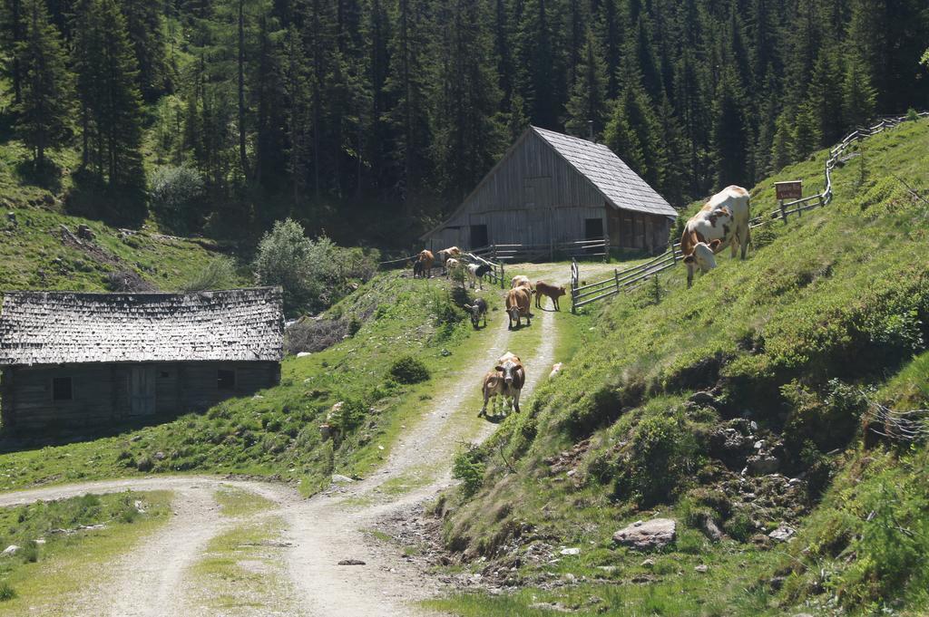 Der Perweinhof Lejlighed Donnersbachwald Eksteriør billede